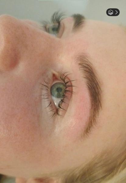 Salon System Lash and Brow Lift Kit