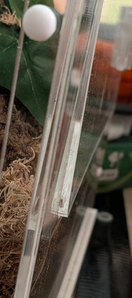 Two warped enclosures, confusing communication, and an unnecessarily diffic
