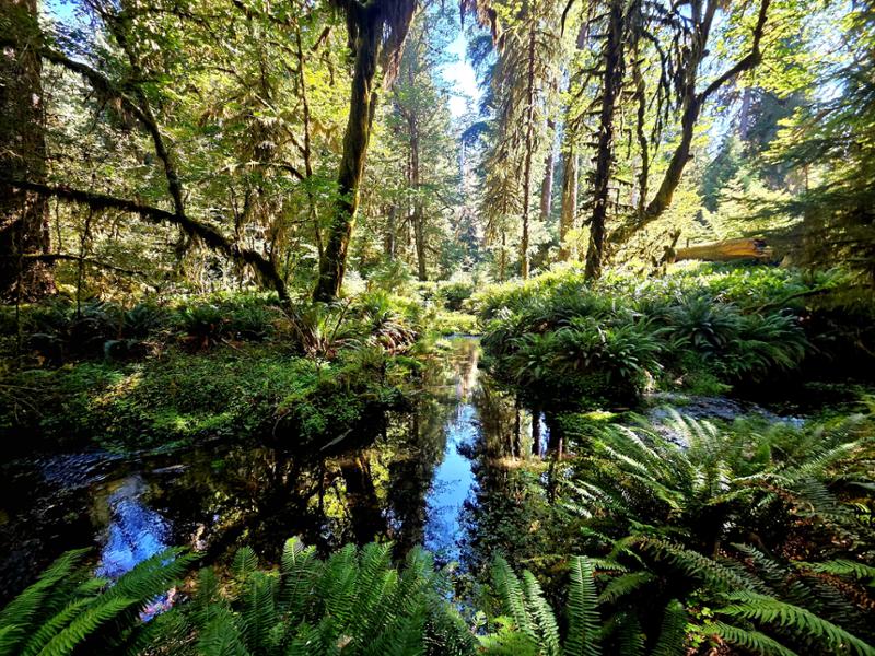 New Zealand Family Vacation
