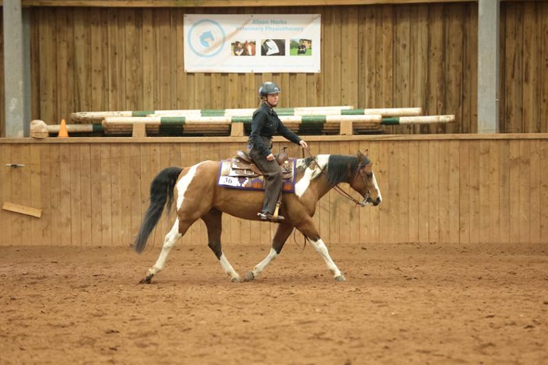 SUPPLEAZE VS Ultimate Equine Joint Supplement