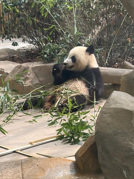 Best of China with Yangtze Cruise