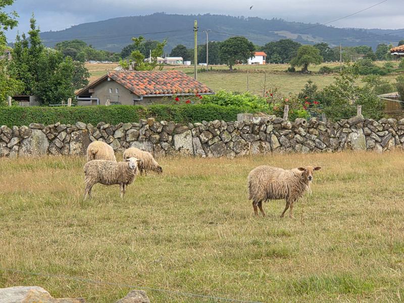 Asturias 4-day Cycling
