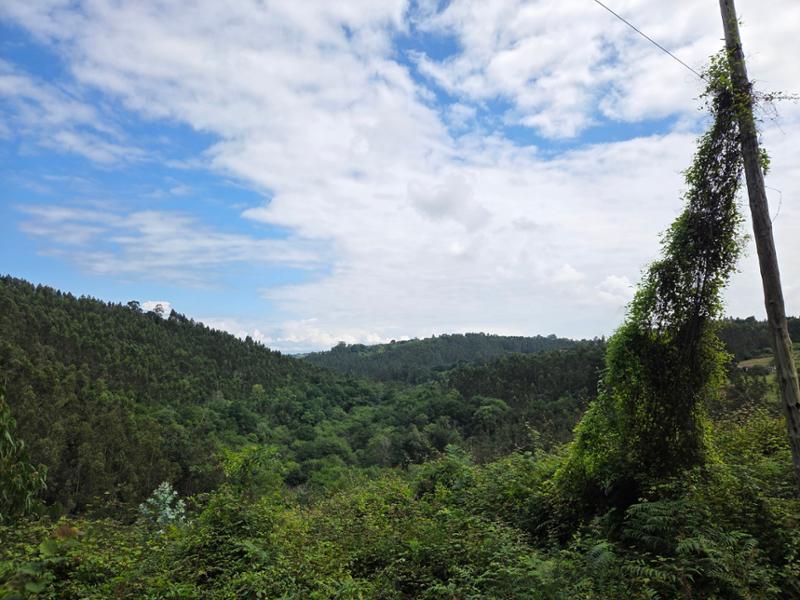 Asturias 4-day Cycling