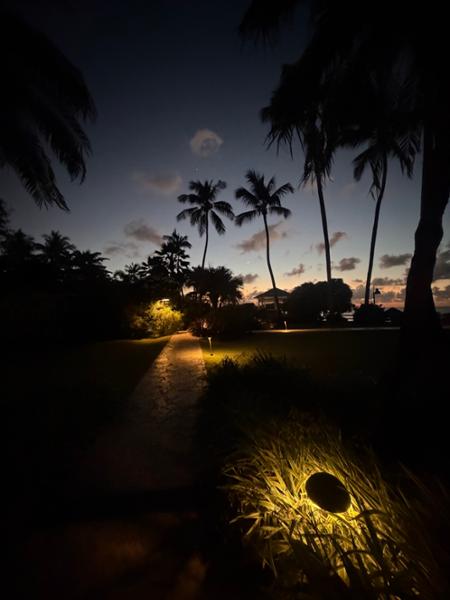 Sandals Halcyon Beach