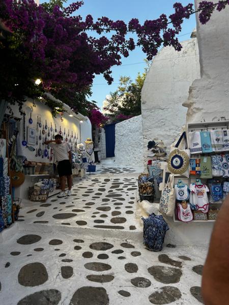 Highlights of Greece with Cruise Moderate B