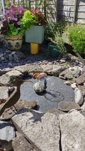 Attractive water feature