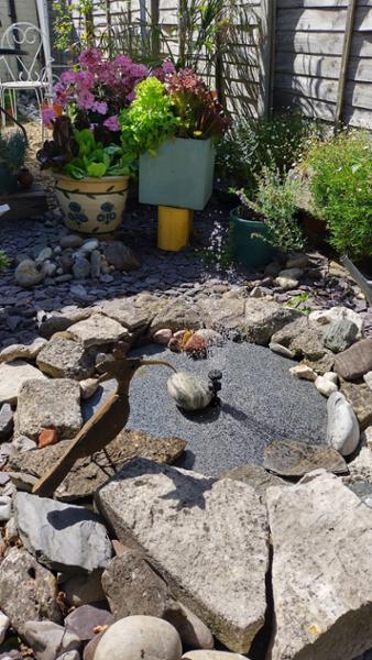 Attractive water feature