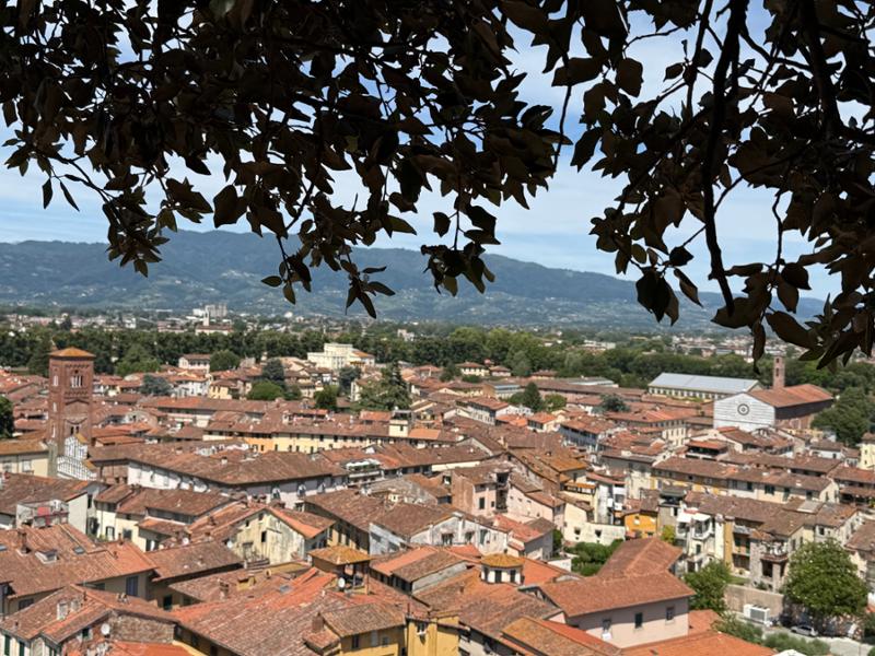 Via Francigena Soft: da Lucca a Siena