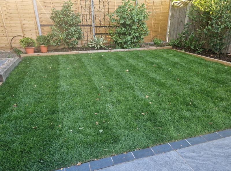 Lovely quality grass