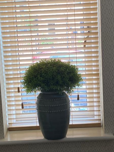 Ceramic Pot