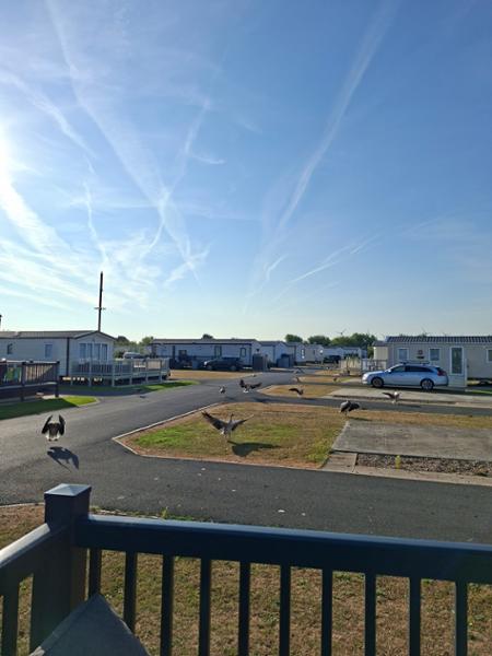 Platinum Caravan (Sleeps 6)