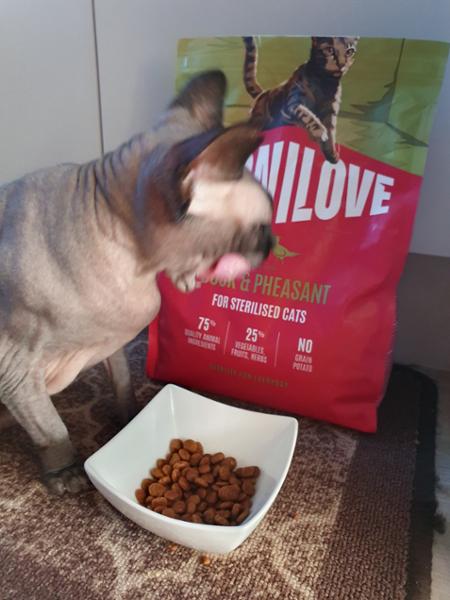 NEW ACTIVE Duck & Pheasant Cat Food