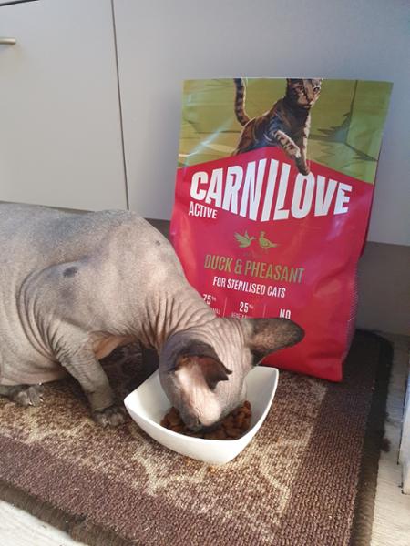 NEW ACTIVE Duck & Pheasant Cat Food