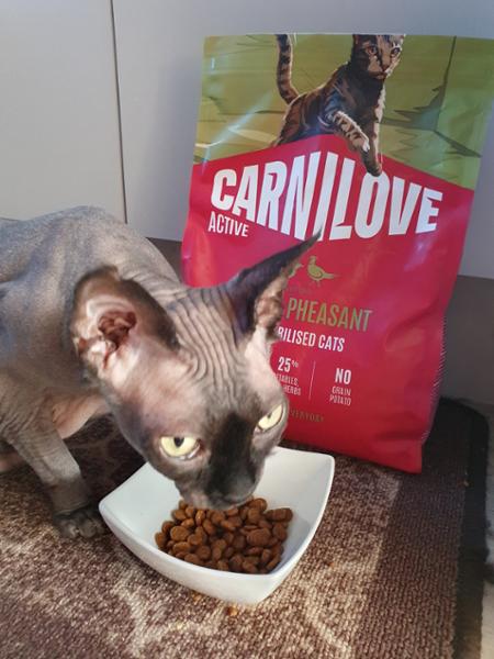 NEW ACTIVE Duck & Pheasant Cat Food