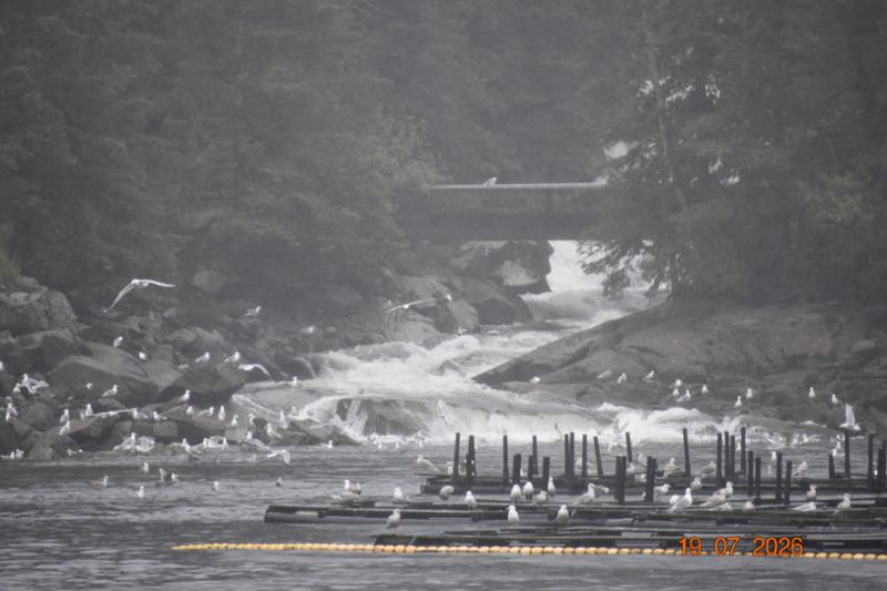 Jewels of Alaska