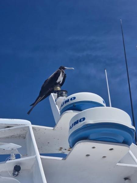 6046-Best of the Galapagos by Catamaran