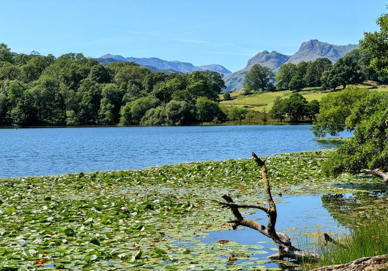 Monk Coniston 👍