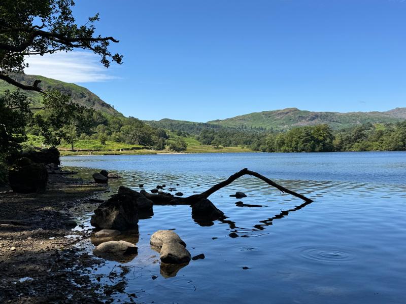 Monk Coniston 👍