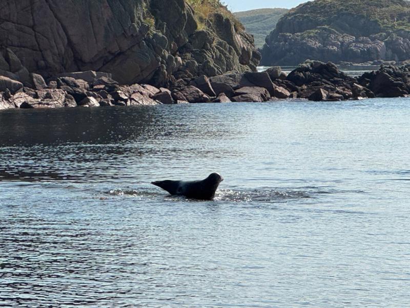 Your holiday: Mull & Iona Guided Walking with Sightseeing