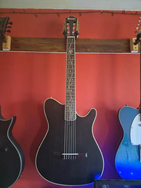 Ibanez TOD10N Tim Henson Signature "Tree of Death" Nylon-String Electro Acoustic Guitar in Transparent Black Flat