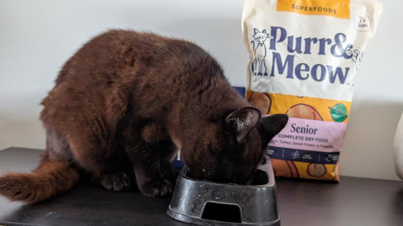 Dry Superfood For Senior Cats