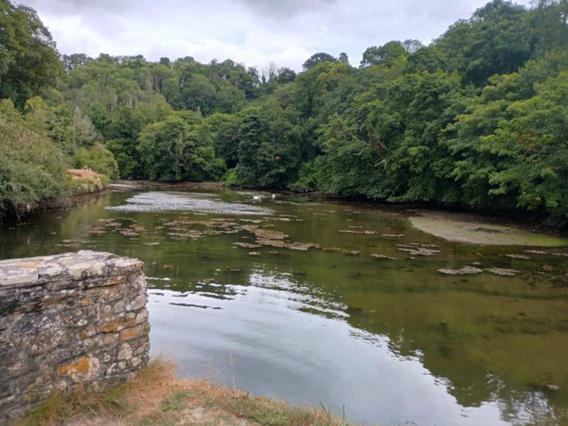 Pont Creek Cottage