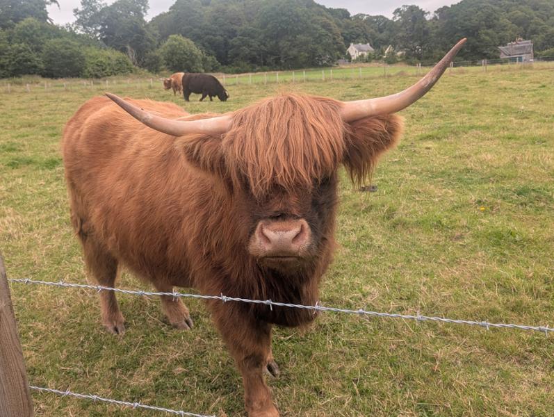 Best of Scotland 