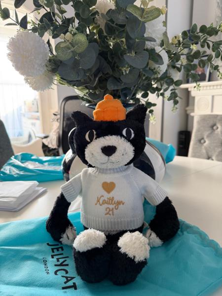 Personalised Birthday Milestones Jumpers to fit Jellycat, Steiff, Keel, Aurora, Mood bears, Care bears 31cm soft toys