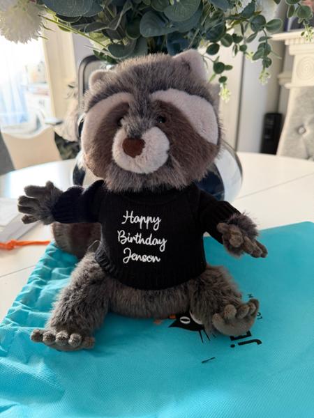 Personalised Birthday Milestones Jumpers to fit Jellycat, Steiff, Keel, Aurora, Mood bears, Care bears 31cm soft toys