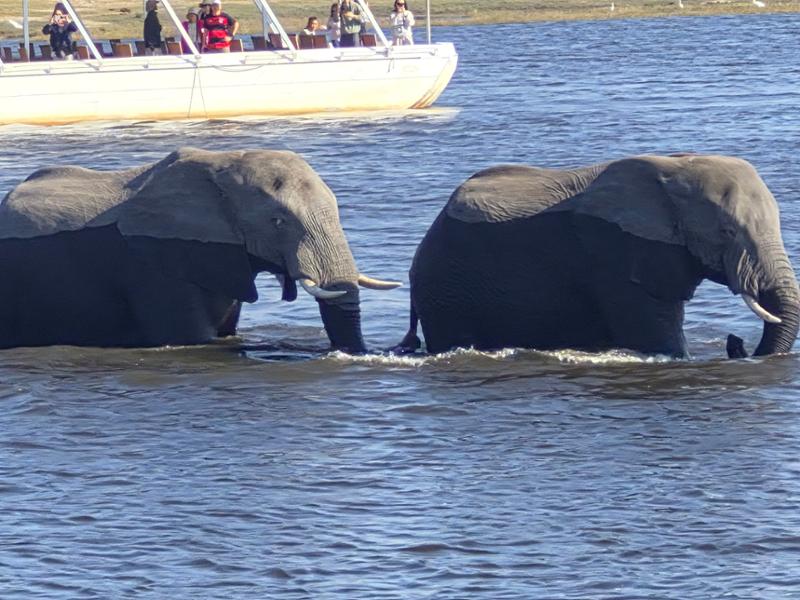 5868-South Africa & Victoria Falls 2026 for 2