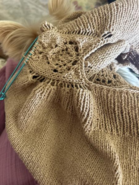Rowan Cotton Revive