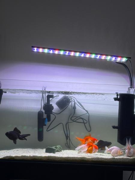 i was satisfied to the uv sterilised that i order with you. now my tank is crystal clear. thanks AQUACADABRA