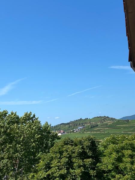 Hotel Munsch Alsace