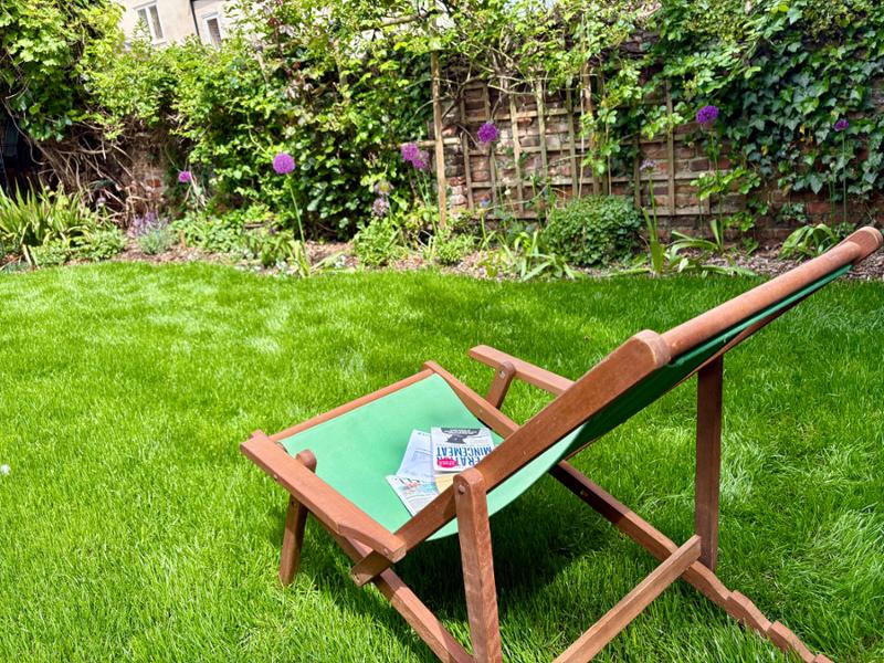 Lawn, late but lush