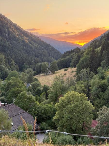 Highlights of Germany