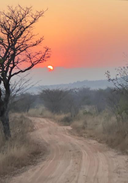 5421-Wild Africa & Victoria Falls