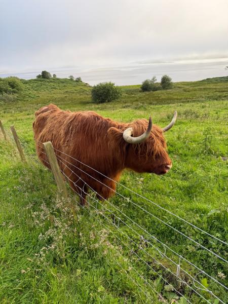 Scotland: Land of Lore & Legend on 07/06/2026
