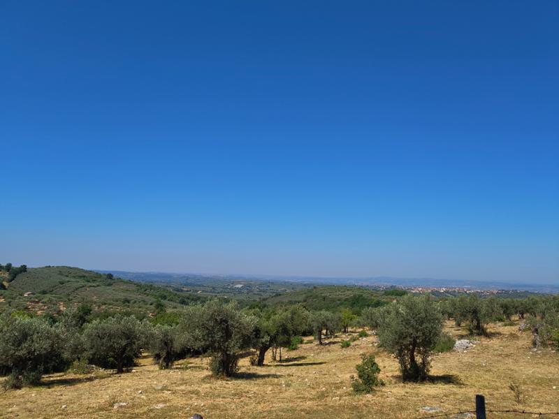 Saint Francis Way: Rieti to Roma