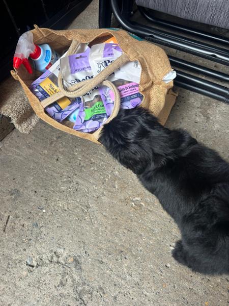 Beef Jerky Training Treats For Puppies | 90% Fresh Beef | 80g | High Protein Puppy Treats | Pooch & Mutt | Grain-Free