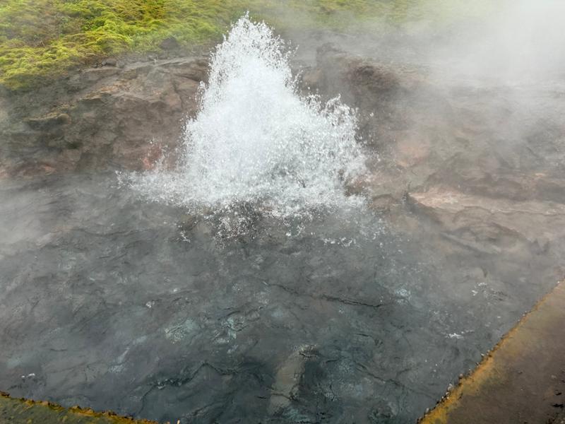 Iceland's Midnight Sun: Glaciers, Geysers and the Golden Circle on 07/09/2026