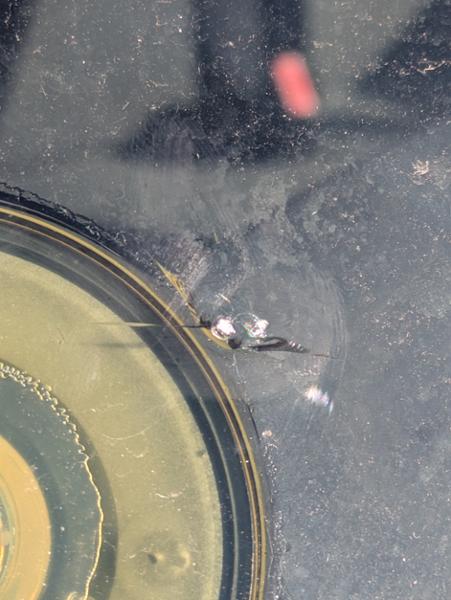 Windscreen Chip Repair