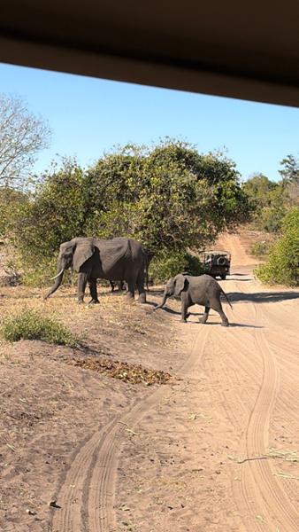 Excellent agency to organize our trips