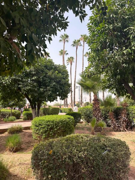 8 Days Across Morocco Fully Escorted Tour incl. Marrakech, Fez, Casablanca, luxury coach travel, entrance fees, English-speaking guide + more.