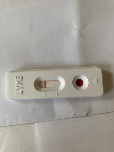 SELFCheck Lyme Disease Test