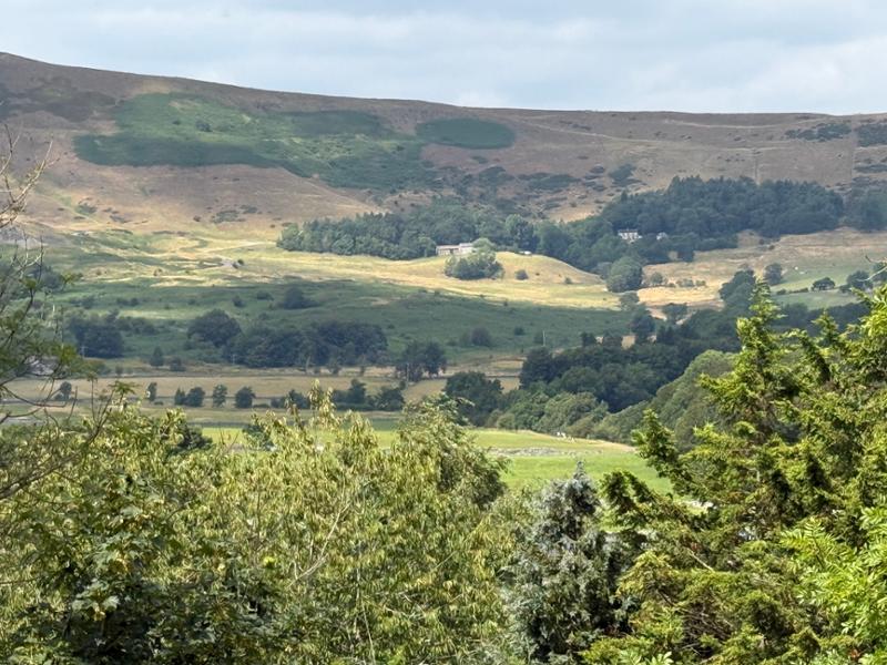 Mam Farm