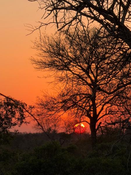 Amazing Cape Town, Kruger safari and Victoria Falls experience!!