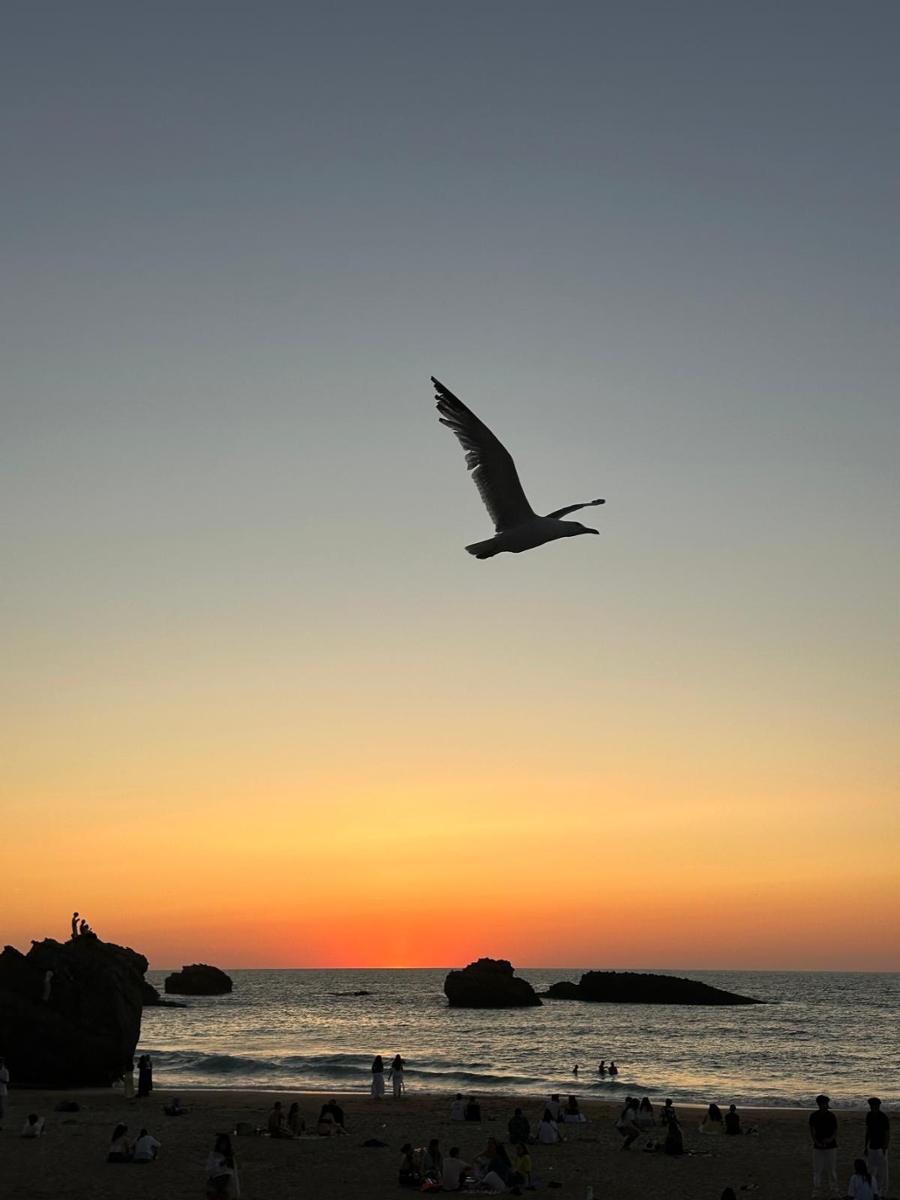 Biarritz Lang. Courses Institute BLCI