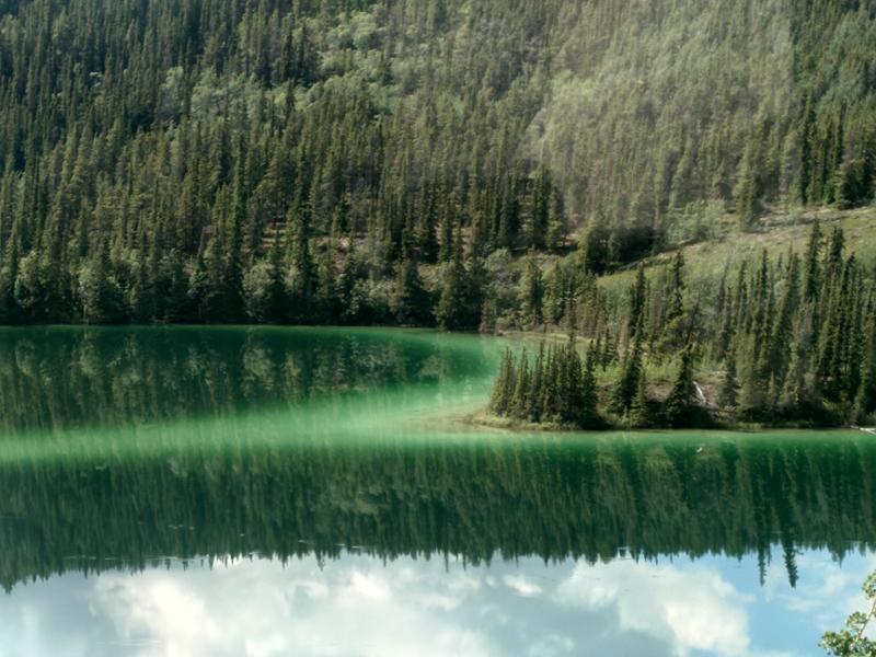 Canadas Rocky Mountaineer & Alaska Cruise