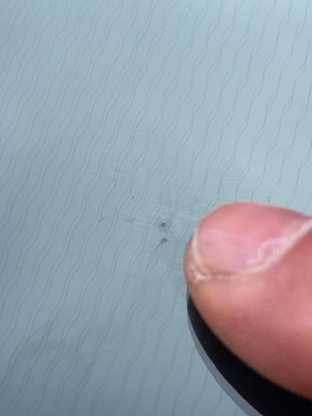 Windscreen Chip Repair