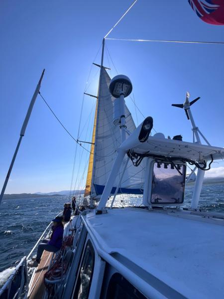 Hebridean Sailing & Wildlife; Mull and the Small Isles